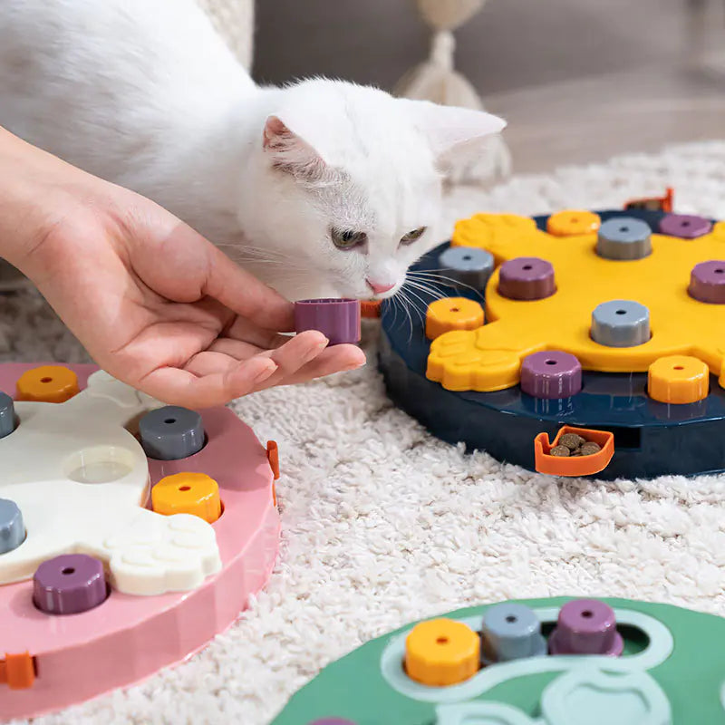 Slow Feed Toy