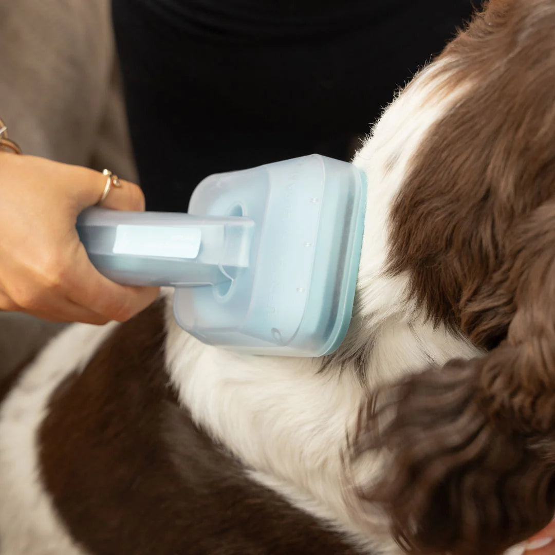 Paws & Purrz Advanced Pro 7-in-1 All-Inclusive Pet Grooming Kit with Nail Trimmer & Grinder