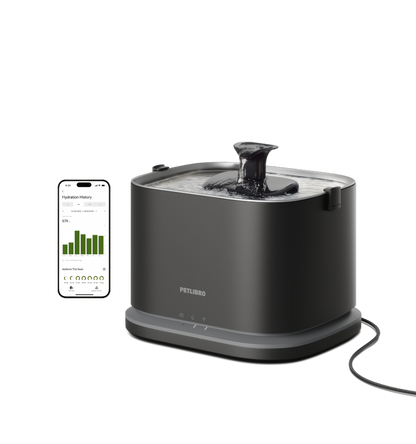 Dockstream 2 Smart Fountain