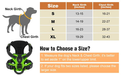 GlowPaws™ High-Visibility LED Safety Harness - USB Rechargeable