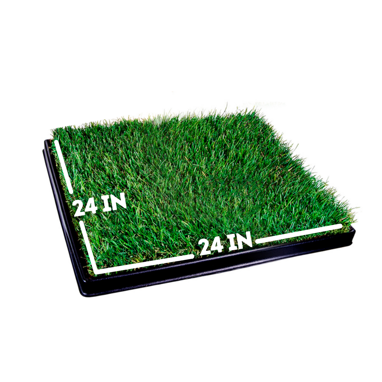 Large Combo Pack (Grass and Tray)