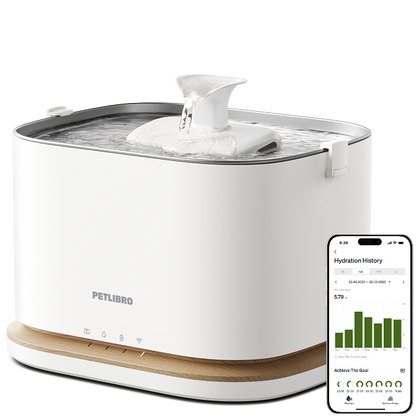 Dockstream 2 Smart Fountain