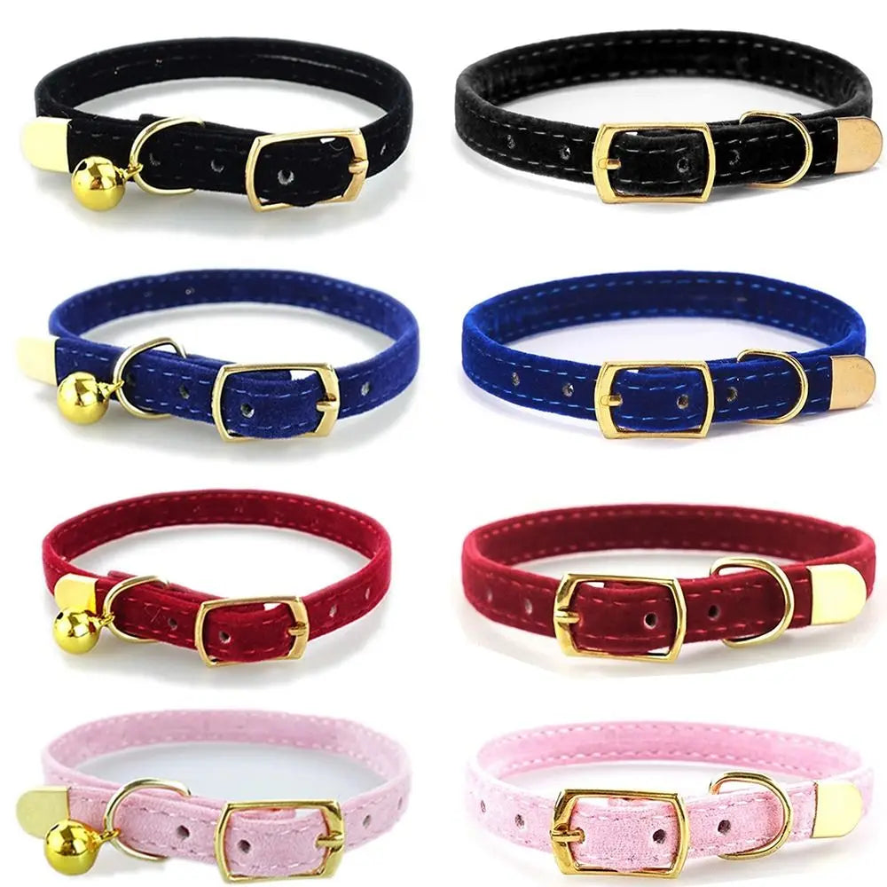 Stylish Cat Collar